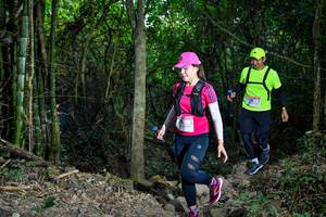 BIB: 
                            <button type="button" onclick="openModal(19441288)" class="btn btn-primary btn-sm float-right btn-popup" data-toggle="modal" data-target=".modal-high-quality">
                        <i class="fas fa-shopping-cart"></i> Add to Cart
                    </button>
                                            <button type="button" onclick="isThisMe(19441288, true)" class="btn btn-success btn-sm float-right btn-popup btn-isme hidden" data-toggle="tooltip" data-placement="bottom" title="นี่คือรูปของคุณใช่ไหม คลิกที่นี่เพื่อเอาเข้าอัลบั้ม">
                        <i class="fas fa-plus"></i> Add to album
                    </button>
                    <button type="button" onclick="isThisMe(19441288, false)" class="btn btn-warning btn-sm float-right btn-popup btn-isnotme hidden">
                        <i class="fas fa-ban"></i> Remove from album
                    </button>